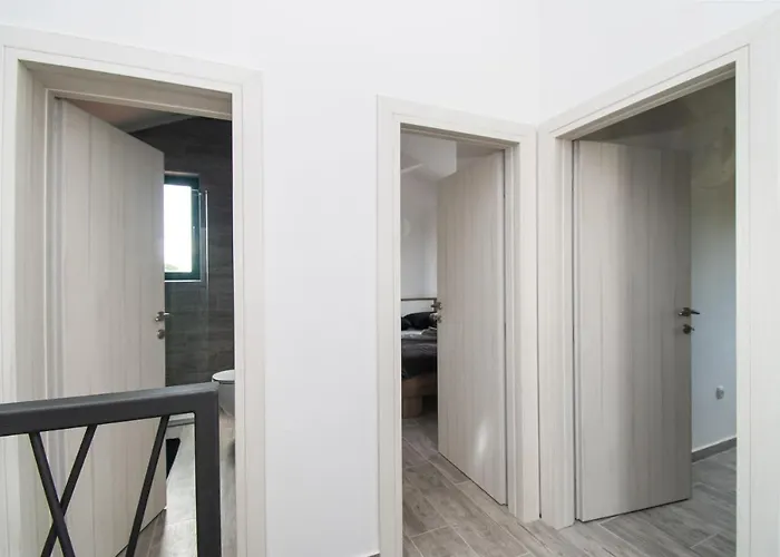 Mungo 스타리그라드 파클레니차